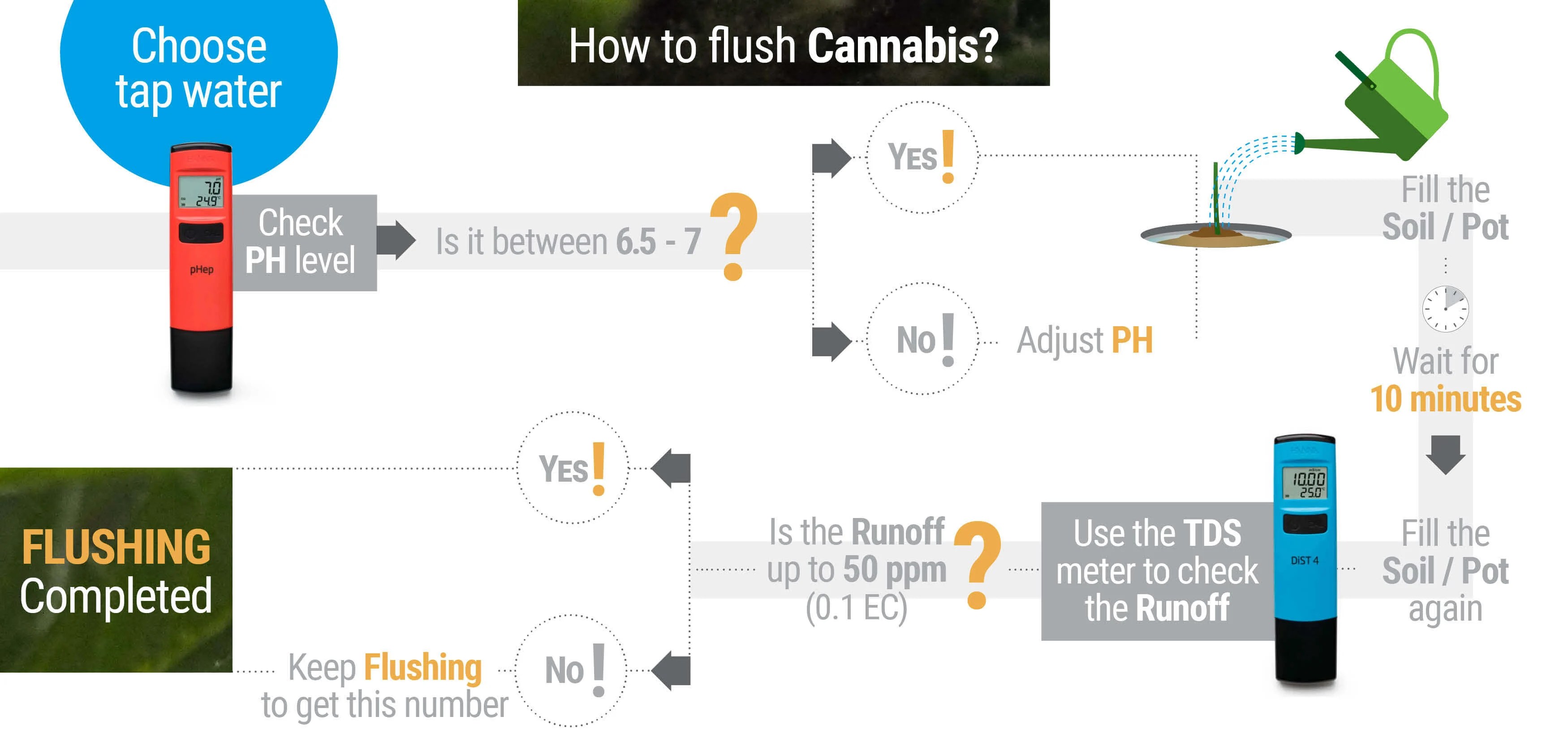 How and When to Flush Marijuana Plants RQS Blog